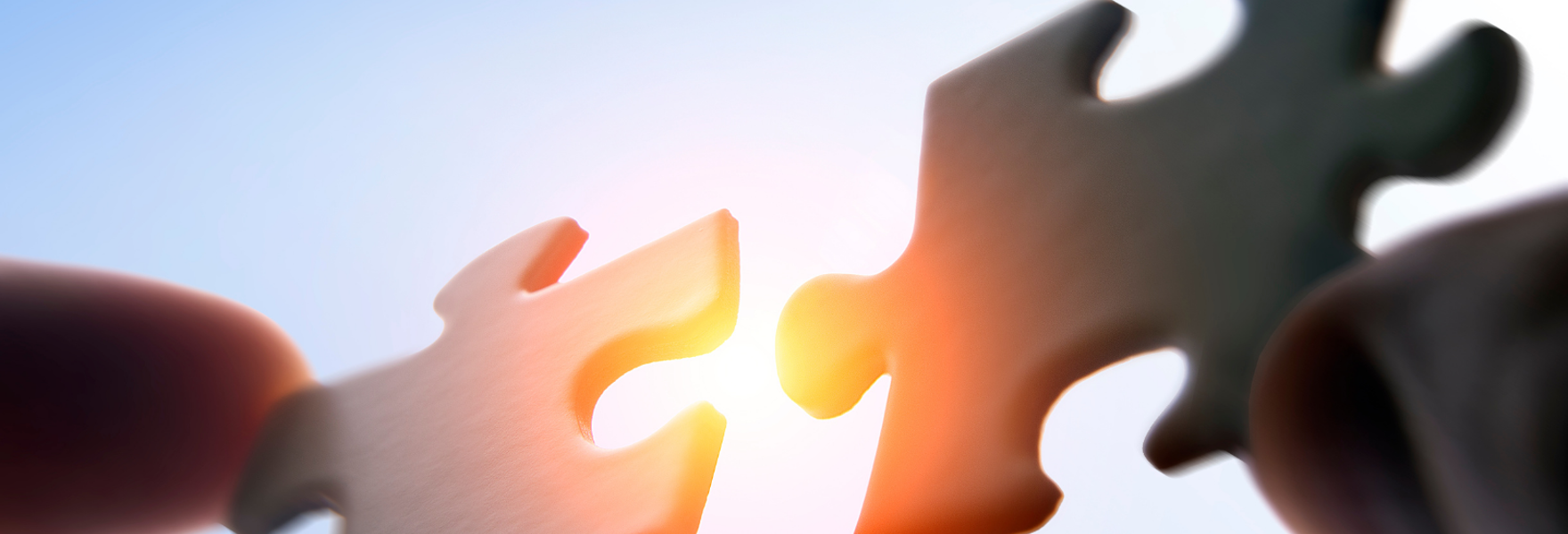 Puzzle Associazioni 