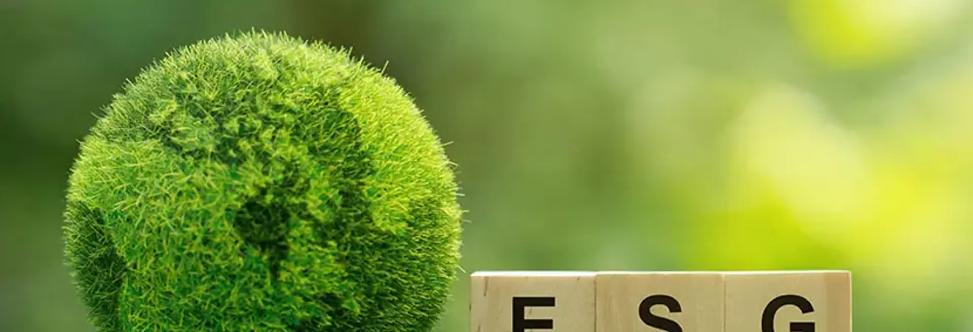 Immagine ESG