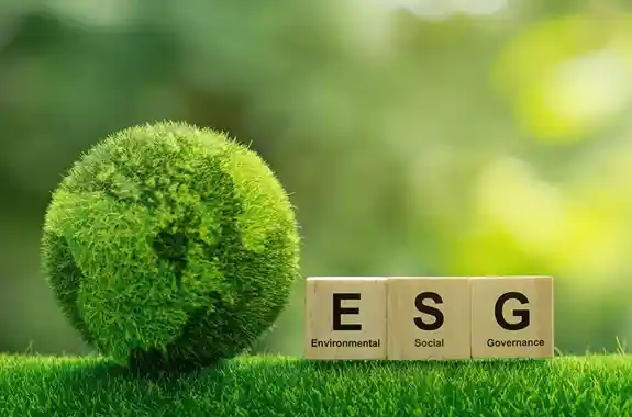 Immagine ESG