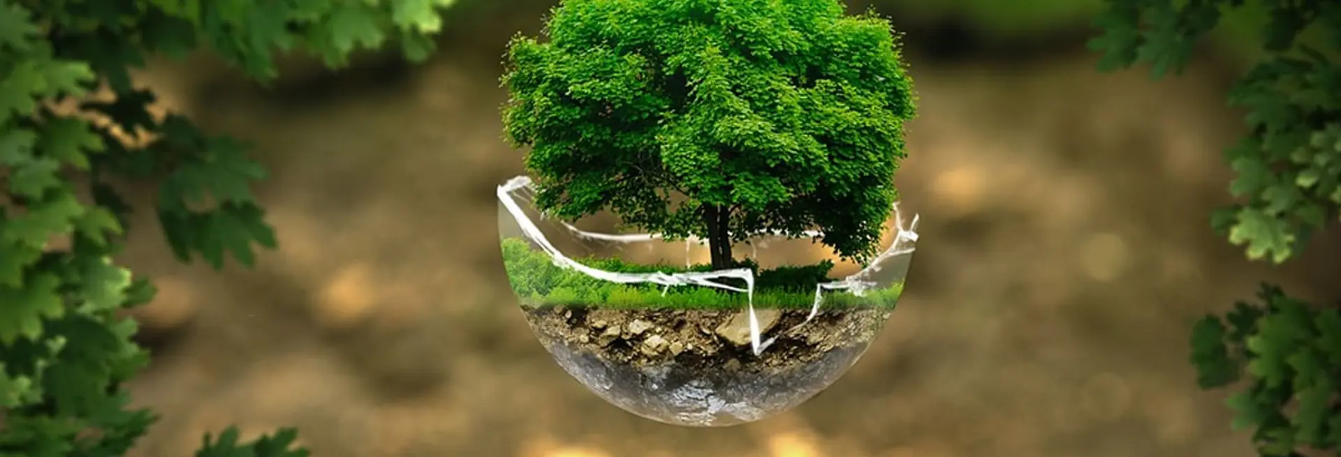 Sostenibilita Ambientale Min (1)