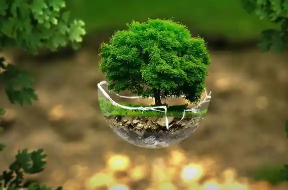 Sostenibilita Ambientale Min (1)